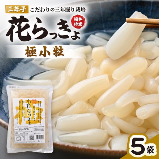 三年子花らっきょ 極小粒らっきょ 200g×5袋 化学調味料不使用 漬け物 らっきょう [A-0708]