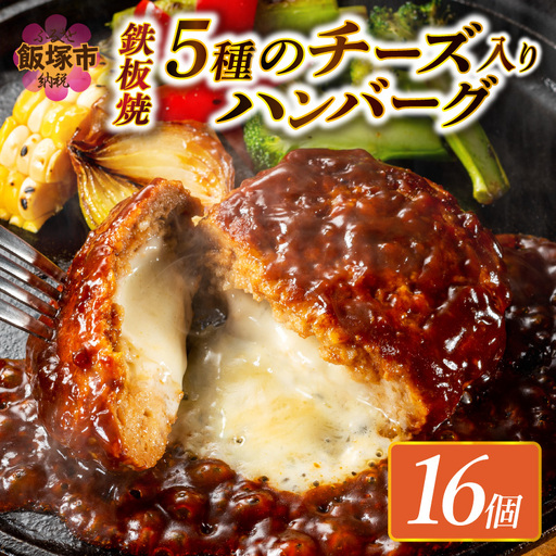 5種のチーズ入り鉄板焼ハンバーグ(デミグラスソース)16個【A6-029】