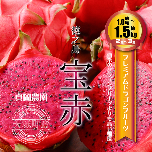 貞岡農園 プレミアム ドラゴンフルーツ 赤玉 1〜1.5kg ( 2玉〜3玉 ) 天城町産 徳之島宝赤 トロピカルフルーツ フルーツ 果物 果実 ピタヤ