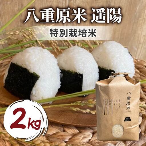 R8年産新米!東御市産コシヒカリ八重原米 遥陽(特別栽培米) 白米2kg |シラクラファーム 特A米 一等米 長野県農薬削減認証取得