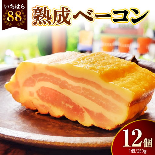 いちはら88熟成ベーコン [約250g×12個入]