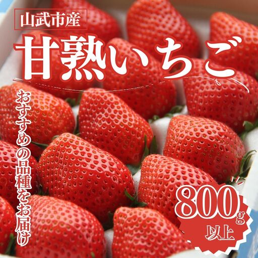 [先行予約][12月中旬から発送]山武市産 甘熟いちご 800g以上 おすすめの品種をお届け /ふるさと納税 いちご イチゴ 苺 果物 くだもの フルーツ 旬のくだもの 季節のフルーツ 千葉県 山武市