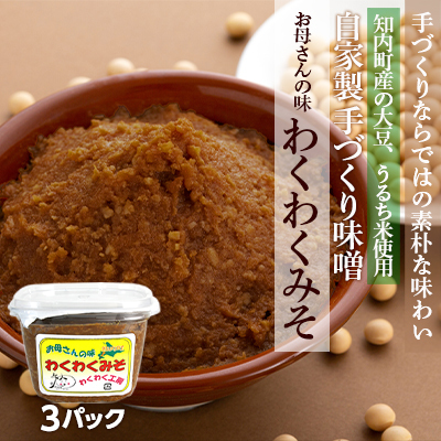 自家製 手づくり味噌 3パック【スリーエス】
