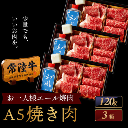 常陸牛 焼肉 お一人様エールギフト120ｇ×3箱 茨城県 水戸市 肉のイイジマ（DU-187）