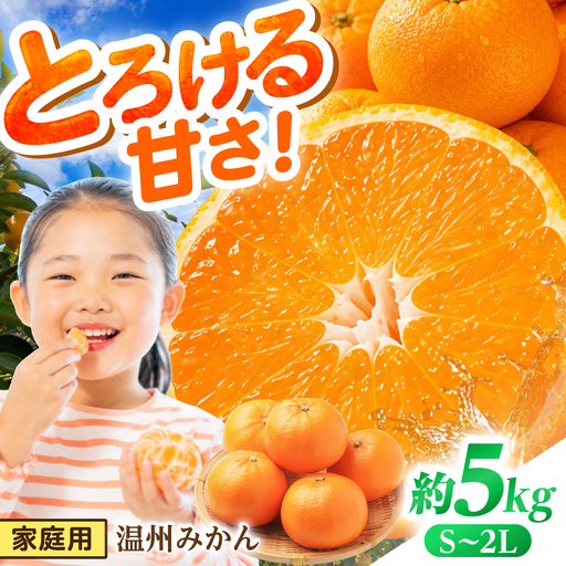 【2026年12月下旬-発送】温州みかん 5kg [SFG004] みかん