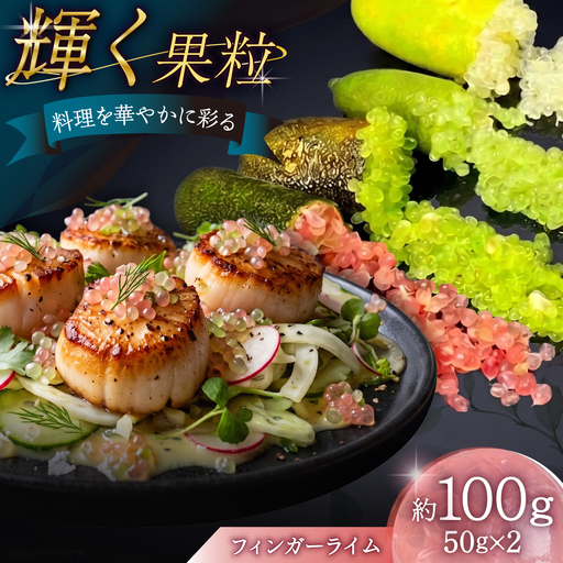 【2026年10月-発送】フィンガーライム 約100g 果物 ライム フルーツ 柑橘類 果実 果実酒 国産 / 南島原市 / 中村農園[SHC001]