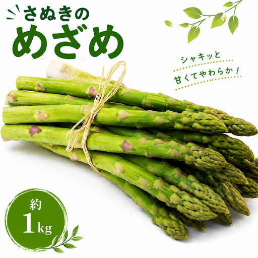 アスパラガス さぬきのめざめ 約1.0kg アスパラガス