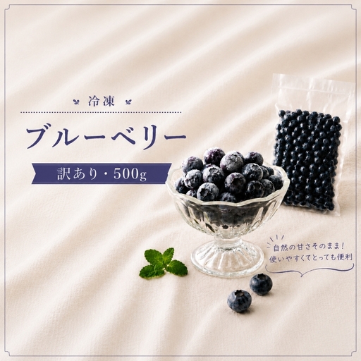 冷凍ブルーベリー 訳あり 500g