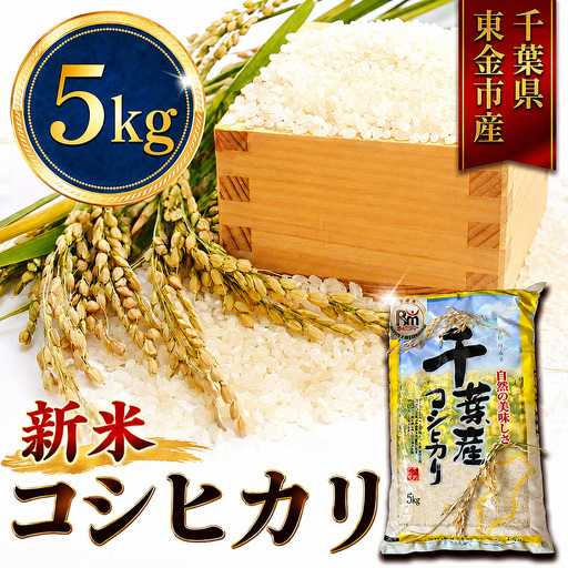 新米 こしひかり 5kg 新米 【令和8年産 先行予約限定】