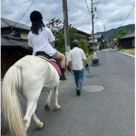 馬の暮らし体験(ホースセラピー)馬と触れあい乗ってみる 2時間コース 1名様[京都府与謝野町]