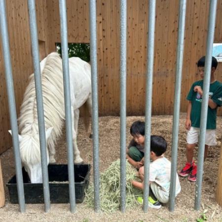 与謝野町 馬と暮らすセラピー体験 馬と触れ合う30分コース