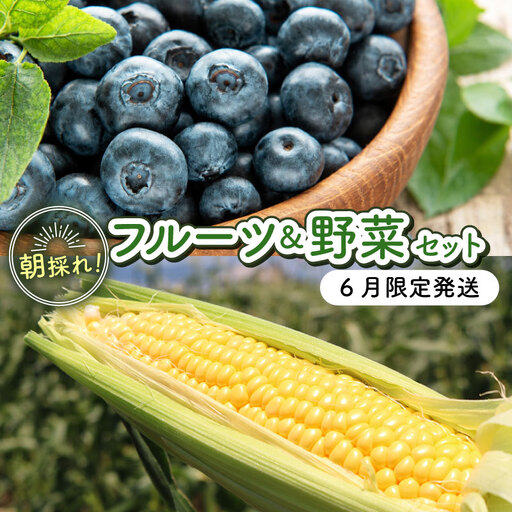 [先行予約][セット]完熟生ブルーベリー(サザンハイブッシュ系・ラビットアイ系)300g スイートコーン 3本