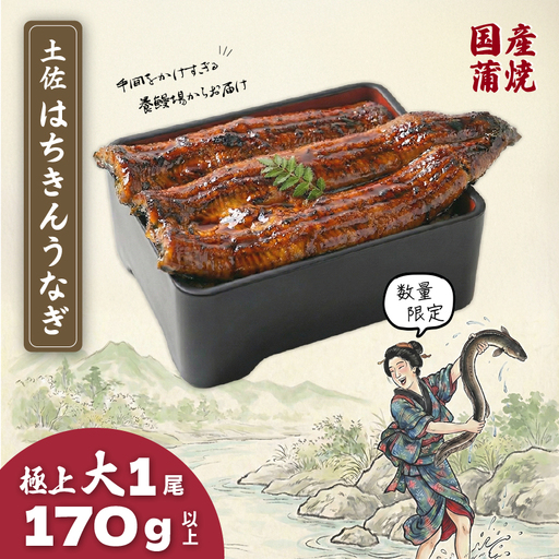 限定 国産 鰻 土佐はちきん うなぎ 大 蒲焼き 170g以上 × 1尾 | 特上 極上 めす 贈答 南国市