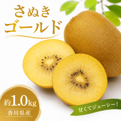 [10月順次発送]さぬきゴールドキウイ 約1.0kg キウイ フルーツ 果物 香川県 丸亀市