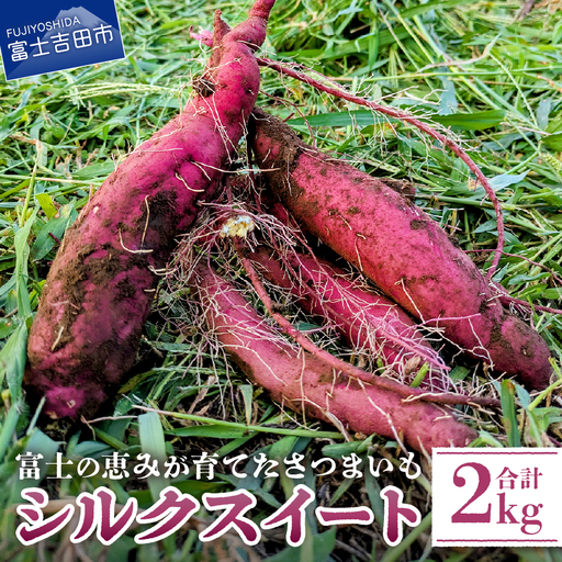 野菜 サツマイモ(シルクスイート)2kg さつまいも