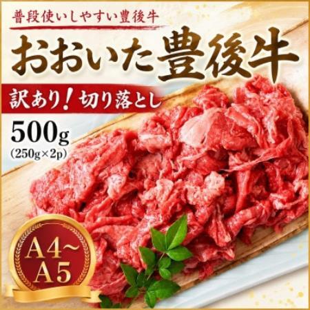 【A4～A5】訳あり!おおいた豊後牛切り落とし 500g(250g×2p)【配送不可地域：離島】【1764435】