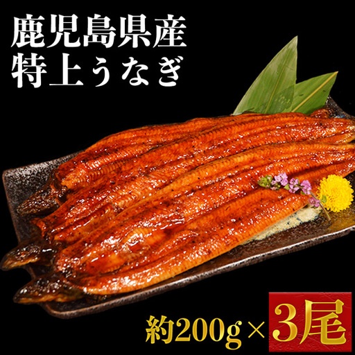 特上うなぎ 約600g (約200g×3尾)