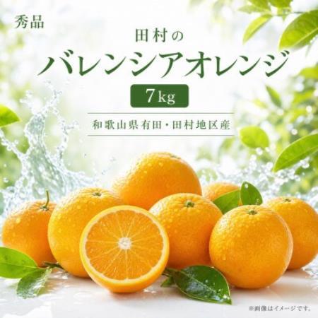 秀品 田村のバレンシアオレンジ 約7kg[配送不可地域:離島]