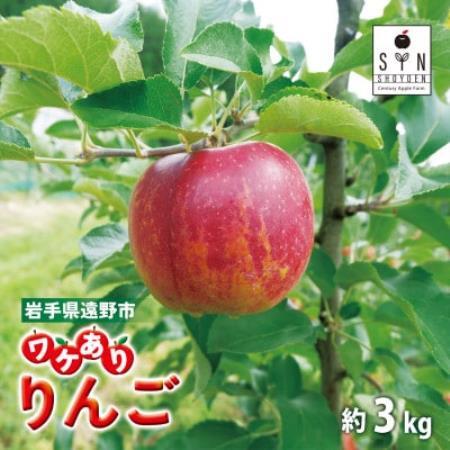 訳あり りんご 3kg 岩手県 遠野市産 松陽園 品種おまかせ 樹上完熟 フルーツ 家庭用【1548135】