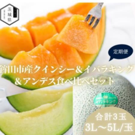 [発送月固定定期便]4・5・6月発送予定 山一ファーム 鉾田市 メロン食べ比べ 3種類全3回[配送不可地域:離島・沖縄県]