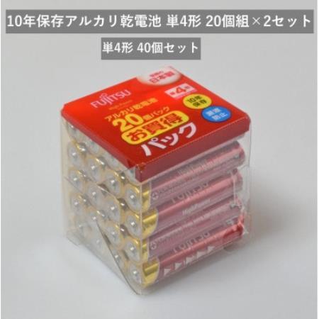 10年保存アルカリ乾電池　単4形　20個組×2セット　合計40個【1719939】