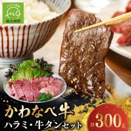 数量限定!かわなべ牛 ハラミ・牛タンセット[配送不可地域:離島]