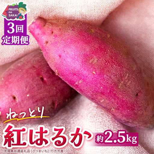 紅はるか 約 2.5kg (3回 定期便 )(茨城県共通返礼品 [さつまいも]:行方市産)