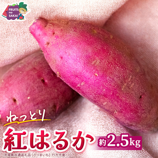 紅はるか 約 2.5kg (茨城県共通返礼品 [さつまいも]:行方市産)