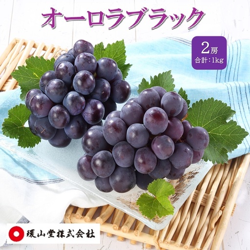 ぶどう 2027年 先行予約 オーロラブラック 2房 合計1.0kg ブドウ 葡萄 岡山県産 国産 フルーツ 果物 ギフト 環山堂