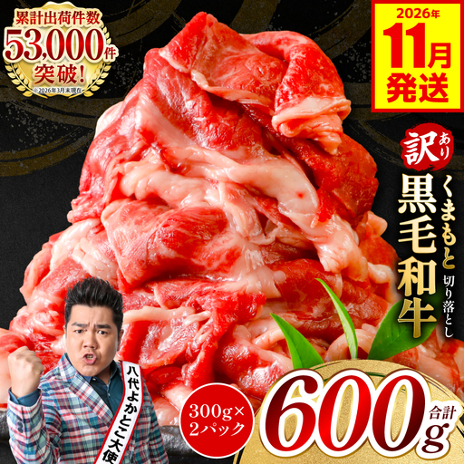 【訳あり】 牛肉 くまもと黒毛和牛 切り落とし 600g（300g×2）【2026年11月発送】 牛肉