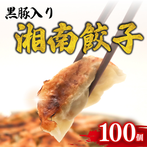 湘南餃子 100個 (50個×2箱) 国産 黒豚 野菜 餃子