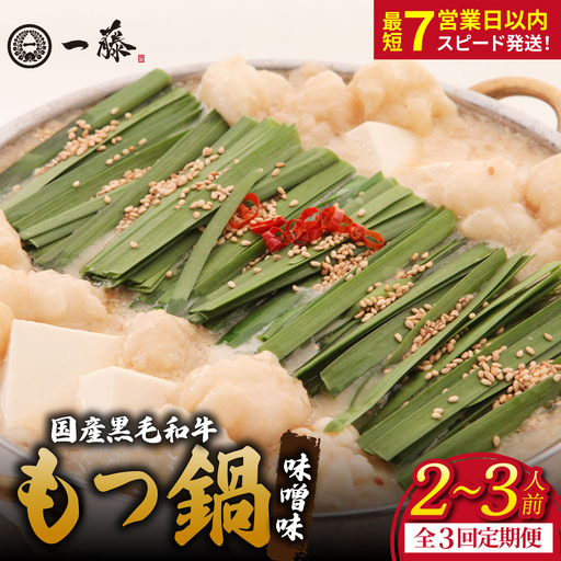 [定期便3回]国産黒毛和牛のもつ鍋味噌味 2〜3人前『もつ鍋一藤』[SC003]