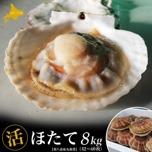オホーツク産 『活』 ほたて 8kg（42枚～60枚） SRMN032