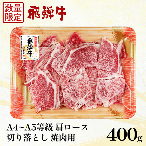 [数量限定]飛騨牛 肩ロース 切り落とし 焼肉用 400g A5 A4 国産 牛 冷凍 和牛 牛肉 カタロース カタロｰス 焼き肉 やきにく 霜降り ギフト 贈答 おすすめ BBQ バーベキュー キャンプ にく お肉 肉 肉のひぐち