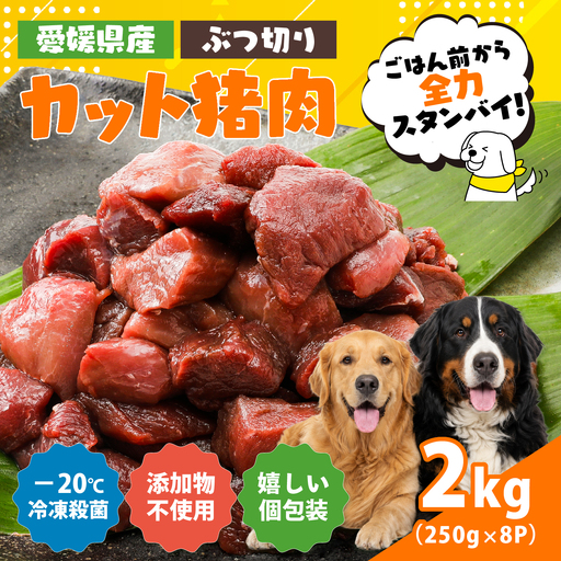 【愛犬用】カット猪肉（ぶつ切り）2kg（250g×8P）＜ペット ペットフード 犬 ワンちゃん個包装 餌 毎日 ジビエ 犬用 おやつ 猪肉 愛媛県産 鬼北町 ドッグフード 冷凍殺菌 特定非営利活動法人Cambio＞