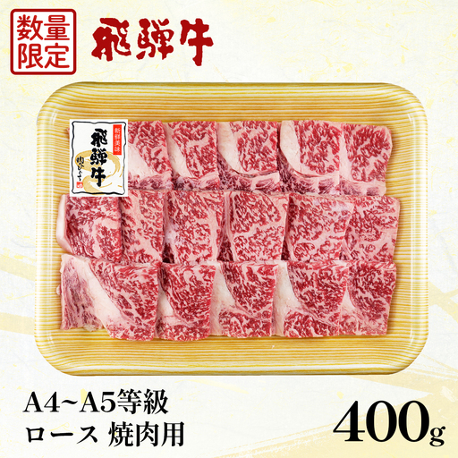 [数量限定] 飛騨牛 ロース 焼肉用 400g A5 A4 国産 牛 冷凍 和牛 牛肉 ロース肉 焼き肉 やきにく 霜降り ギフト 贈答 おすすめ BBQ バーベキュー キャンプ にく お肉 肉 肉のひぐち