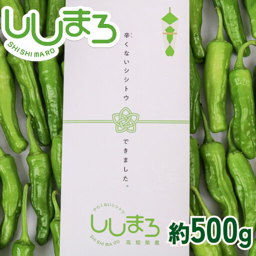 [先行予約] ししとう 500g 野菜 獅子唐