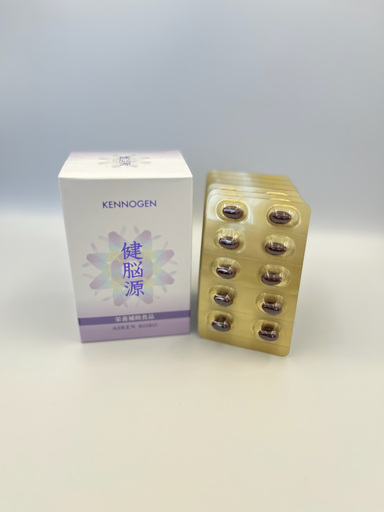 0044-117-01 愛健酵素 健脳源 プラズマローゲン含有加工食品