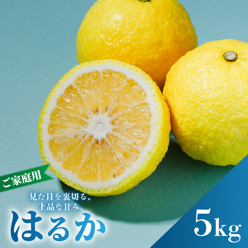 [2027年2月中旬から順次発送]はるか 5kg 家庭用 みかん 柑橘 