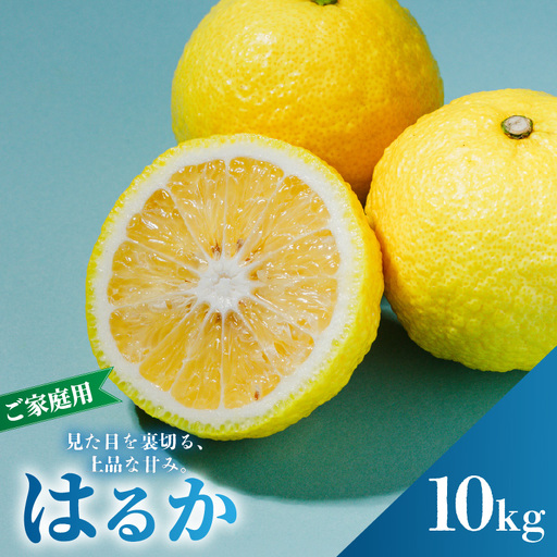 【2027年2月中旬から順次発送】はるか 10kg  家庭用 みかん 柑橘 【RNK029】
