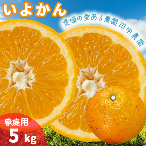 [2027年1月上旬頃から順次発送]伊予柑 いよかん 約5kg 家庭用 
