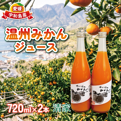 温州みかんジュース 720ml × 2本 贈答用 清家 100%ジュース ストレート ストレート ギフト 柑橘 みかん 温州みかん mikan ミカン 爽やか 愛媛ミカン 甘い 温州 愛媛みかん 宇和島産 果汁 飲料 果物 くだもの フルーツ 国産 愛媛 宇和島