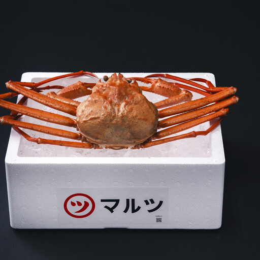 ふるさと納税 定期便 蟹 境港産 松葉ガニ 紅ズワイガニ 旬 厳選 鳥取県産 [鳥取県 境港市]