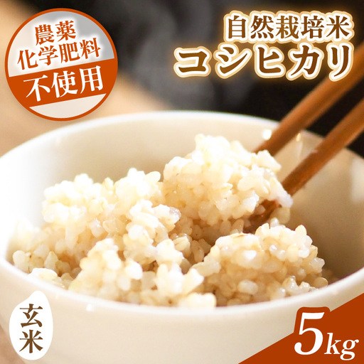 [先行予約][令和8年産]コシヒカリ 玄米 5kg 化学肥料 農薬不使用 自然栽培米 / 北陸 福井県産 あわら市 ブランド米 玄米 お米 コメ ※2026年10月上旬以降順次発送予定 [aw138-b001]
