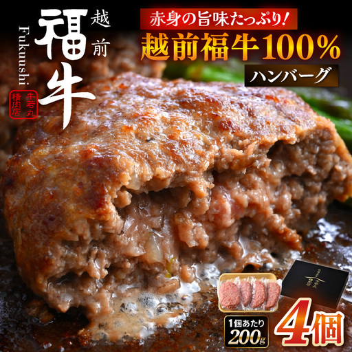 希少 越前福牛100% ハンバーグ 200g × 4個 牛肉 和牛ハンバーグ 冷凍 贈答 ギフト [A-1806]