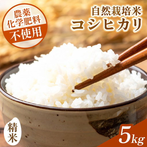 [先行予約][令和8年産]コシヒカリ 精米 5kg 化学肥料 農薬不使用 自然栽培米 / 北陸 福井県産 あわら市 ブランド米 白米 お米 コメ ※2026年10月上旬以降順次発送予定 [aw138-b002]