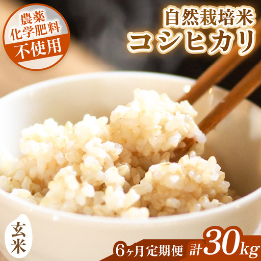[先行予約][令和8年産][定期便]≪6ヶ月連続お届け≫ コシヒカリ 玄米 5kg×6回 (計30kg)化学肥料 農薬不使用 自然栽培米 / 北陸 福井県産 あわら市 ブランド米 玄米 お米 コメ ※2026年10月上旬以降順次発送予定 [aw138-k001]