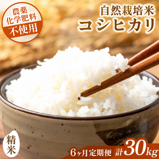 [先行予約][令和8年産][定期便] ≪6ヶ月連続お届け≫ コシヒカリ 精米 5kg×6回 (計30kg) 化学肥料 農薬不使用 自然栽培米 / 北陸 福井県産 あわら市 ブランド米 白米 お米 コメ ※2026年10月上旬以降順次発送予定 [aw138-k002]