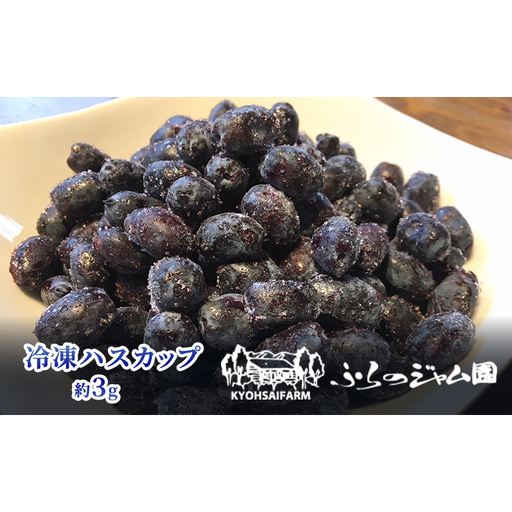 ◆ふらのジャム園◆ 冷凍 ハスカップ 10袋セット ( 果物 フルーツ 冷凍食品 新鮮 産地直送 北海道 道産 富良野 )