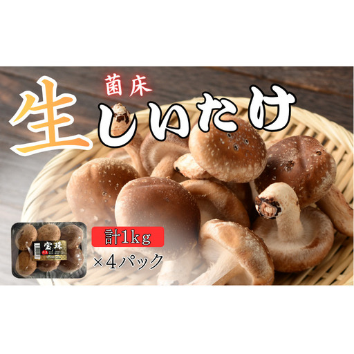 しいたけ 生しいたけ 1kg 肉厚 京都 しいたけ